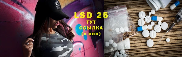ПСИЛОЦИБИНОВЫЕ ГРИБЫ Карталы