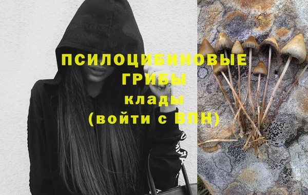 ПСИЛОЦИБИНОВЫЕ ГРИБЫ Карталы