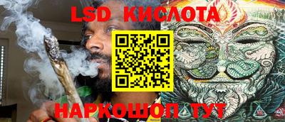 дмт Краснодар