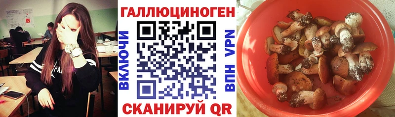 Галлюциногенные грибы GOLDEN TEACHER  маркетплейс как зайти  Валуйки  omg ТОР 