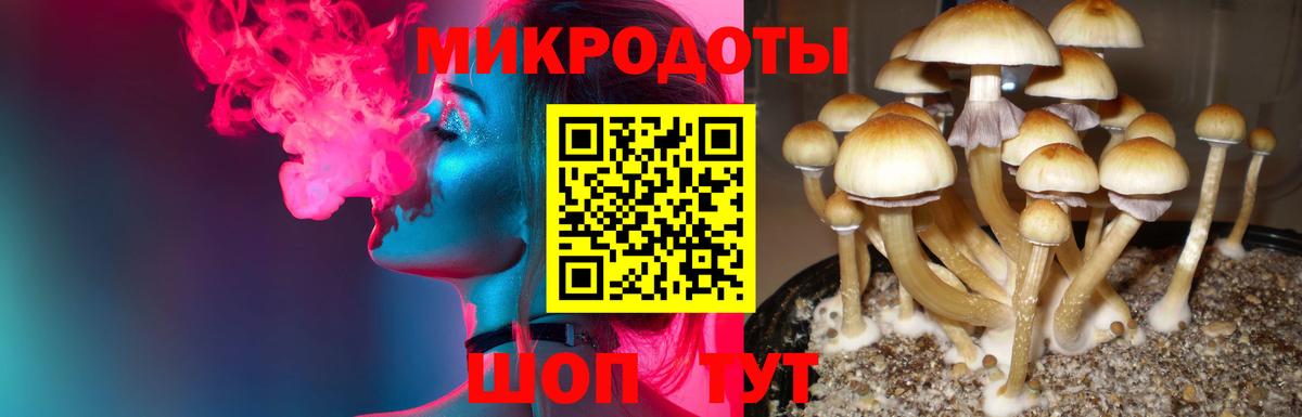 Псилоцибиновые грибы мухоморы  Вход с VPN  Галлюциногенные грибы Psilocybine cubensis  Валуйки 